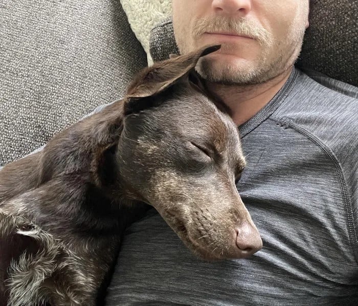 dog falls asleep on owner's chest
