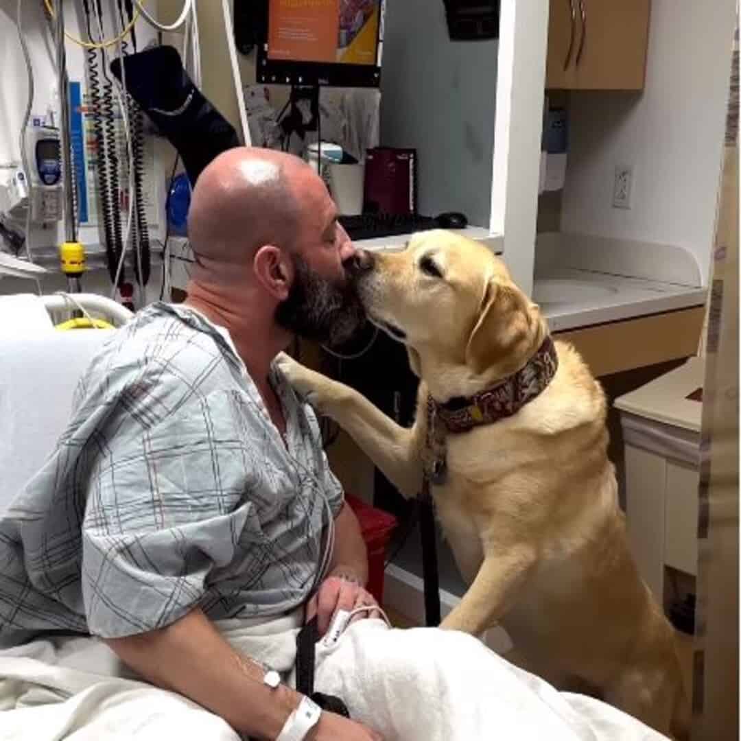 dog kisses sick owner