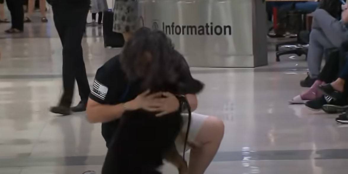 dog reunited with owner