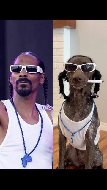 dog that looks more like Snoop than Snoop does