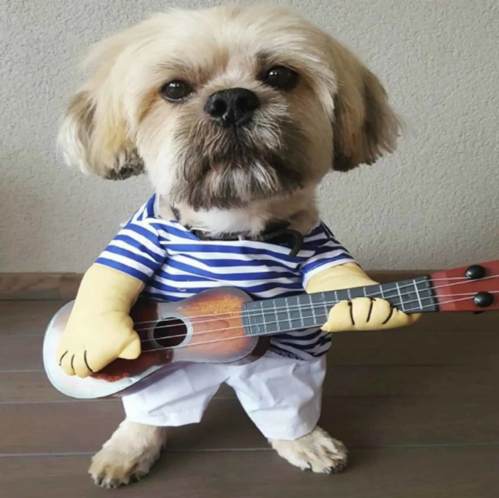 dog wearing guitar player costume