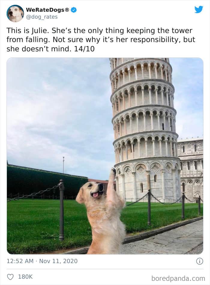 dog with Pisa tower