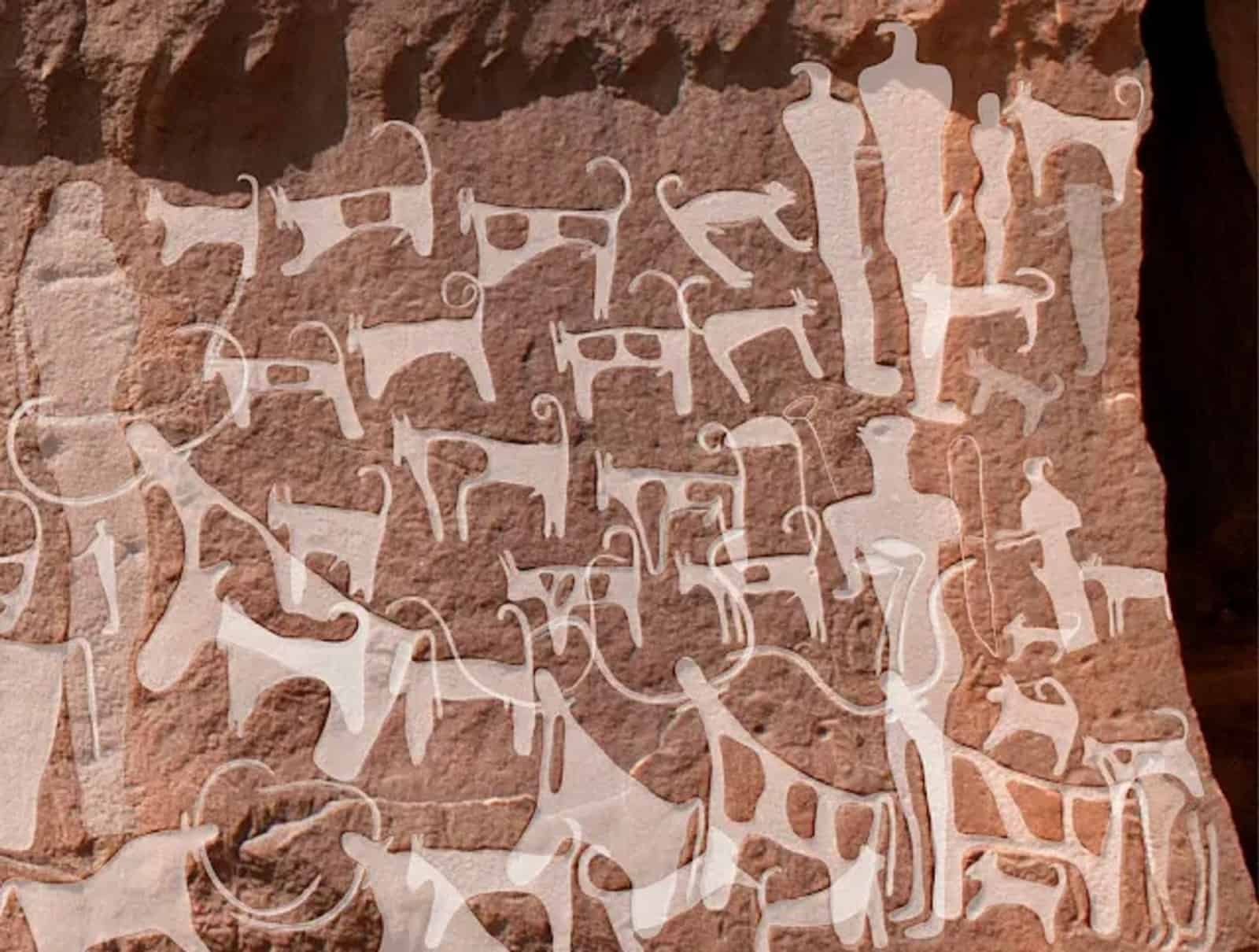 dogs painted on rock in a cave