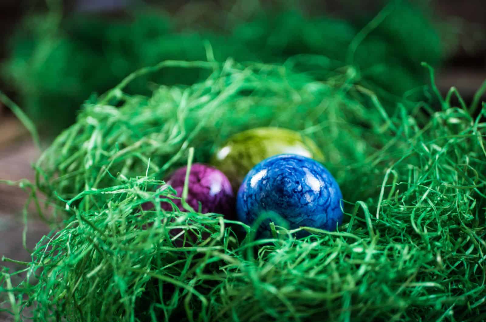 easter eggs in easter grass