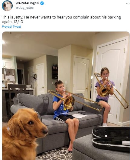 funny dog listening kids playing instruments