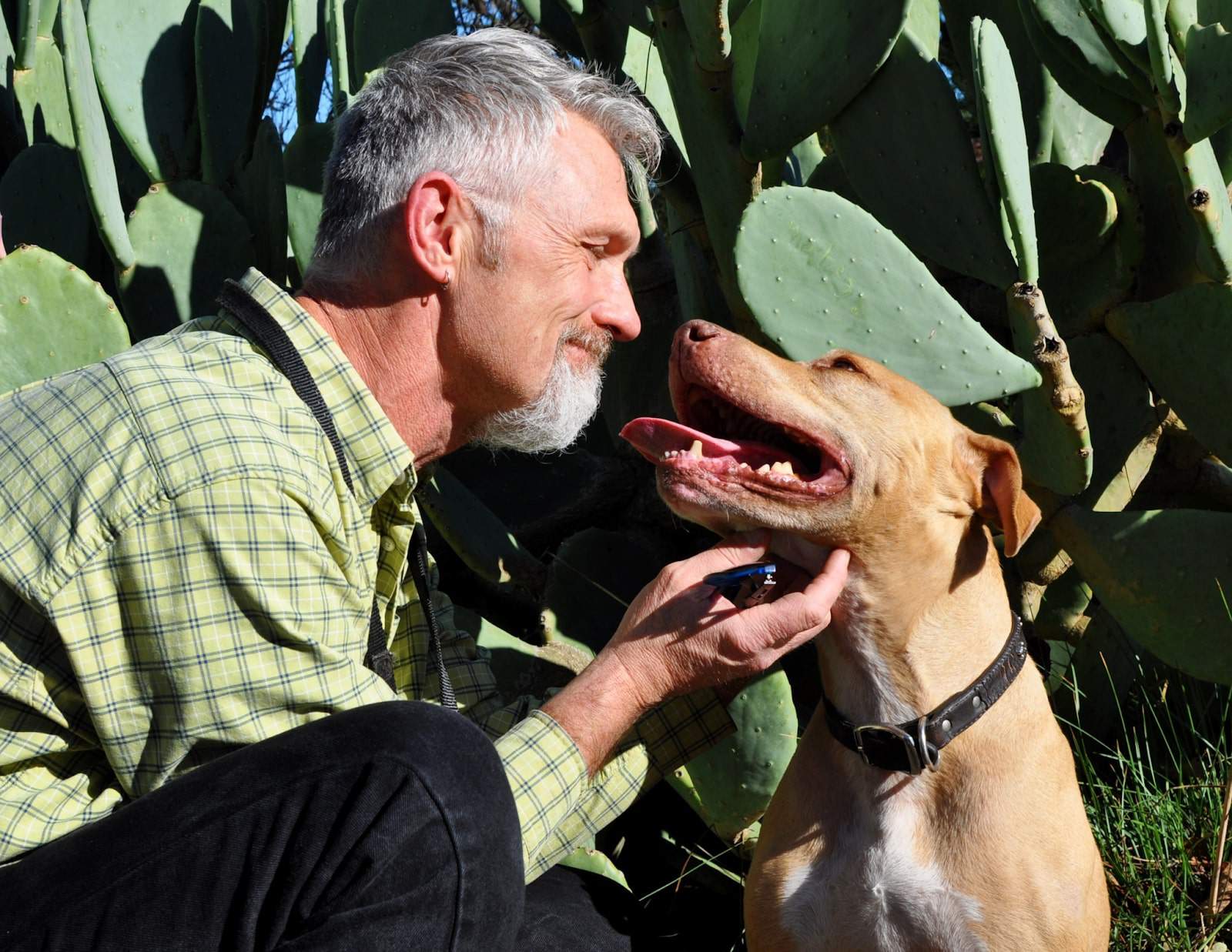 happy man and dog