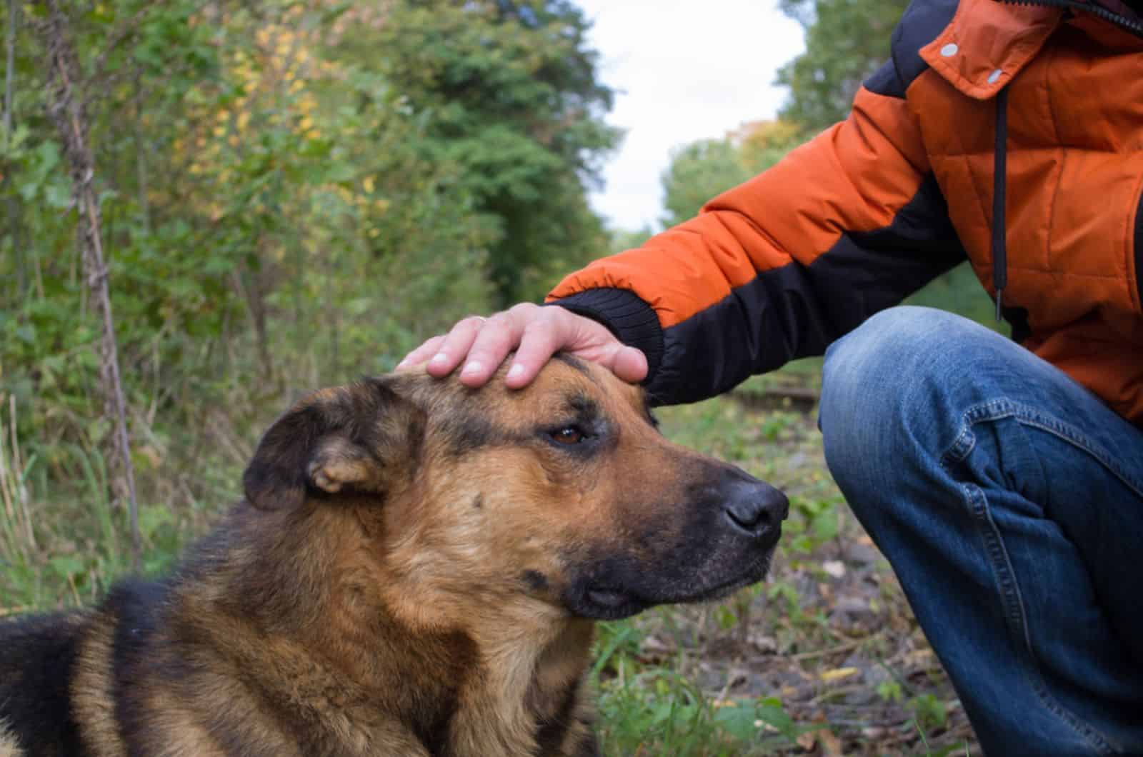 man cuddling his german shepherd dog outdoors