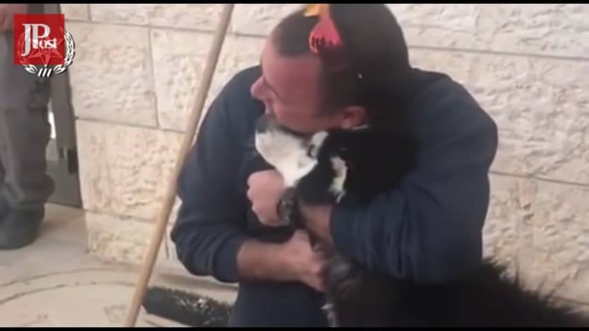 man cuddling with husky