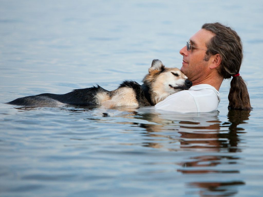 owner helping his dog ease pain by swimming