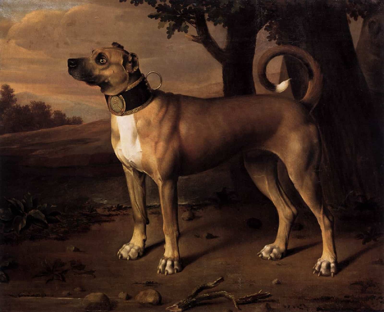 painting of great dane dog