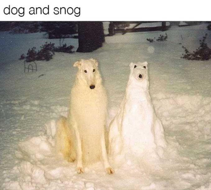 real dog standing by dog made from snow