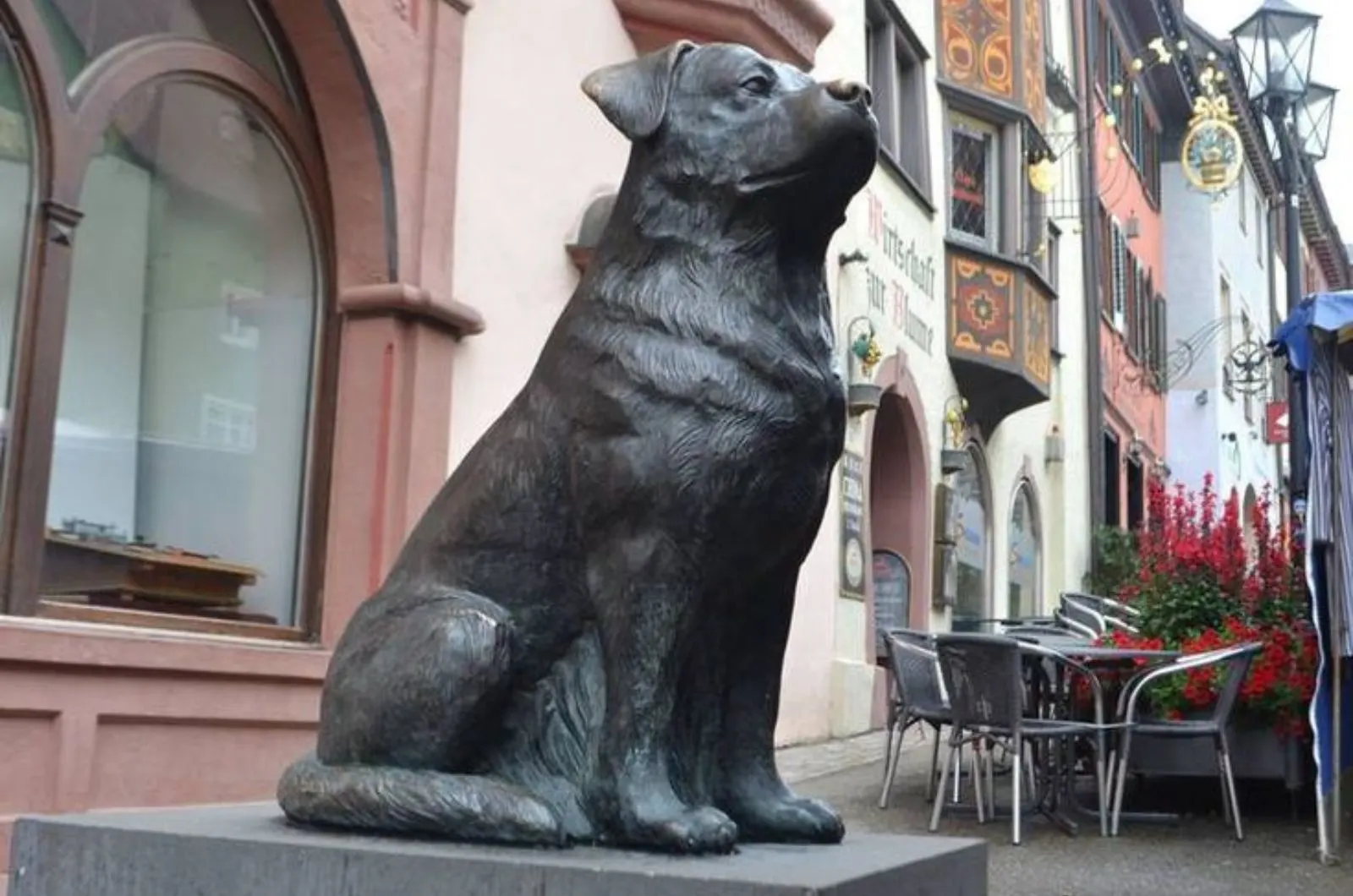 rottweiler statue in front of museum