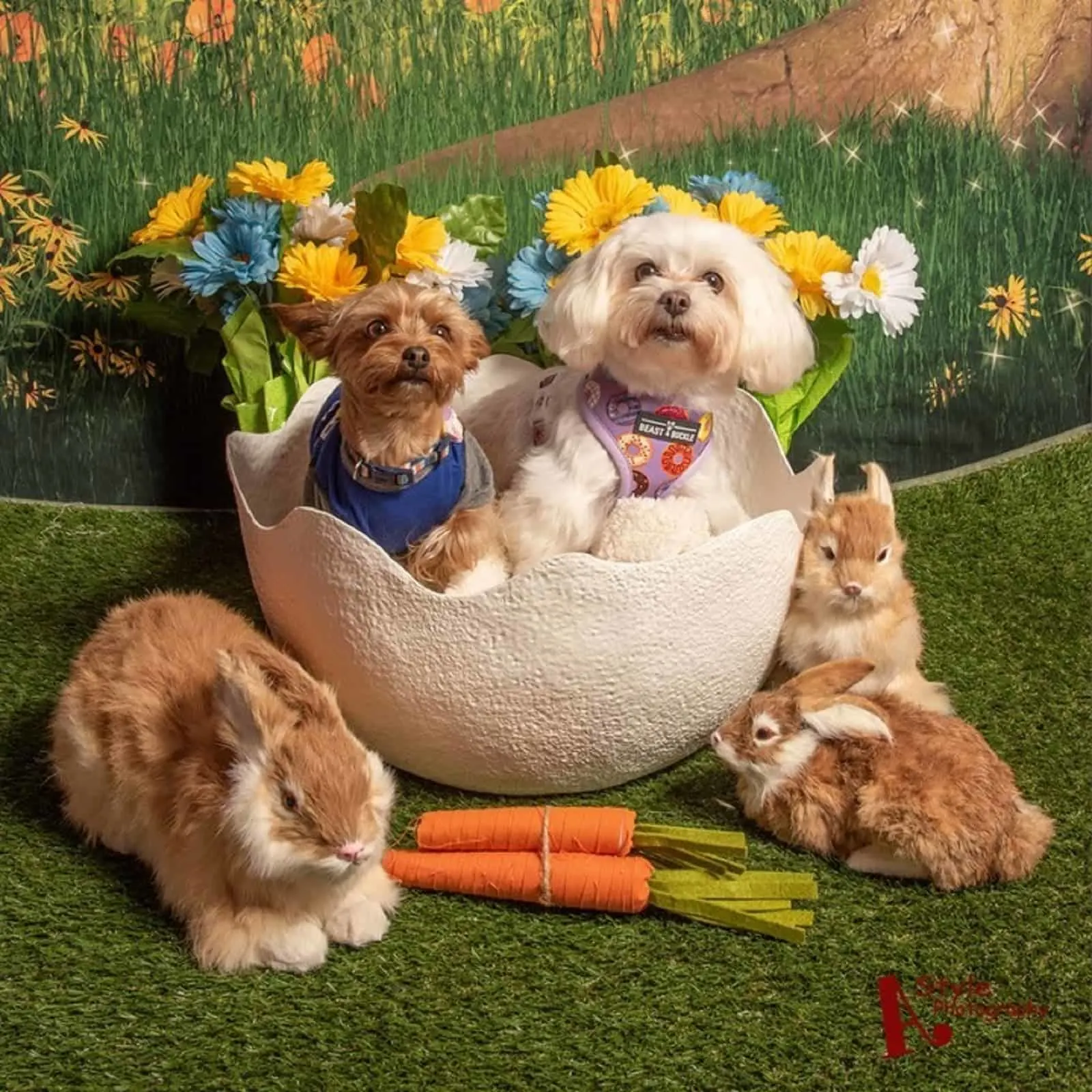 two dogs and three bunnies celebrating easter