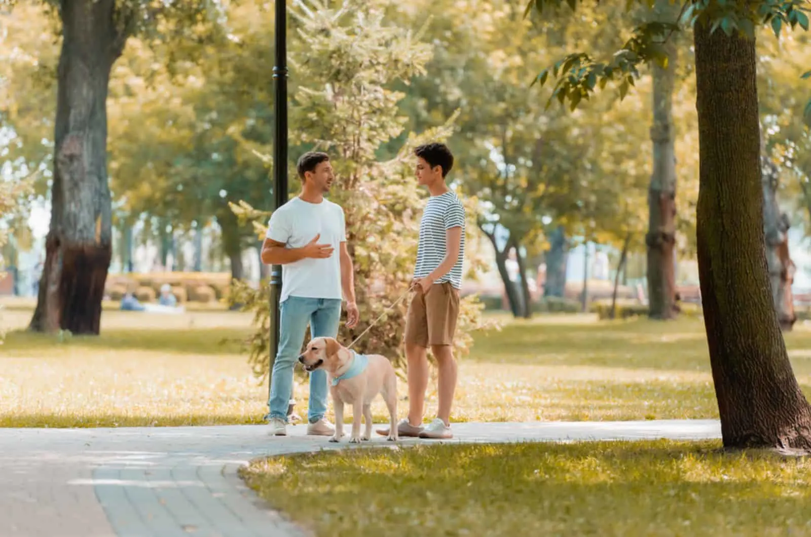 two men talking in the park while walking with dog