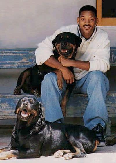 will smith with two rottweiler dogs