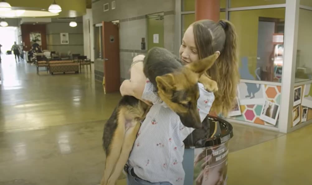 woman holding Roo the GSD