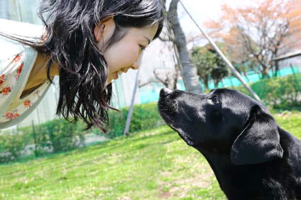 woman maintains eye contact with her service dog