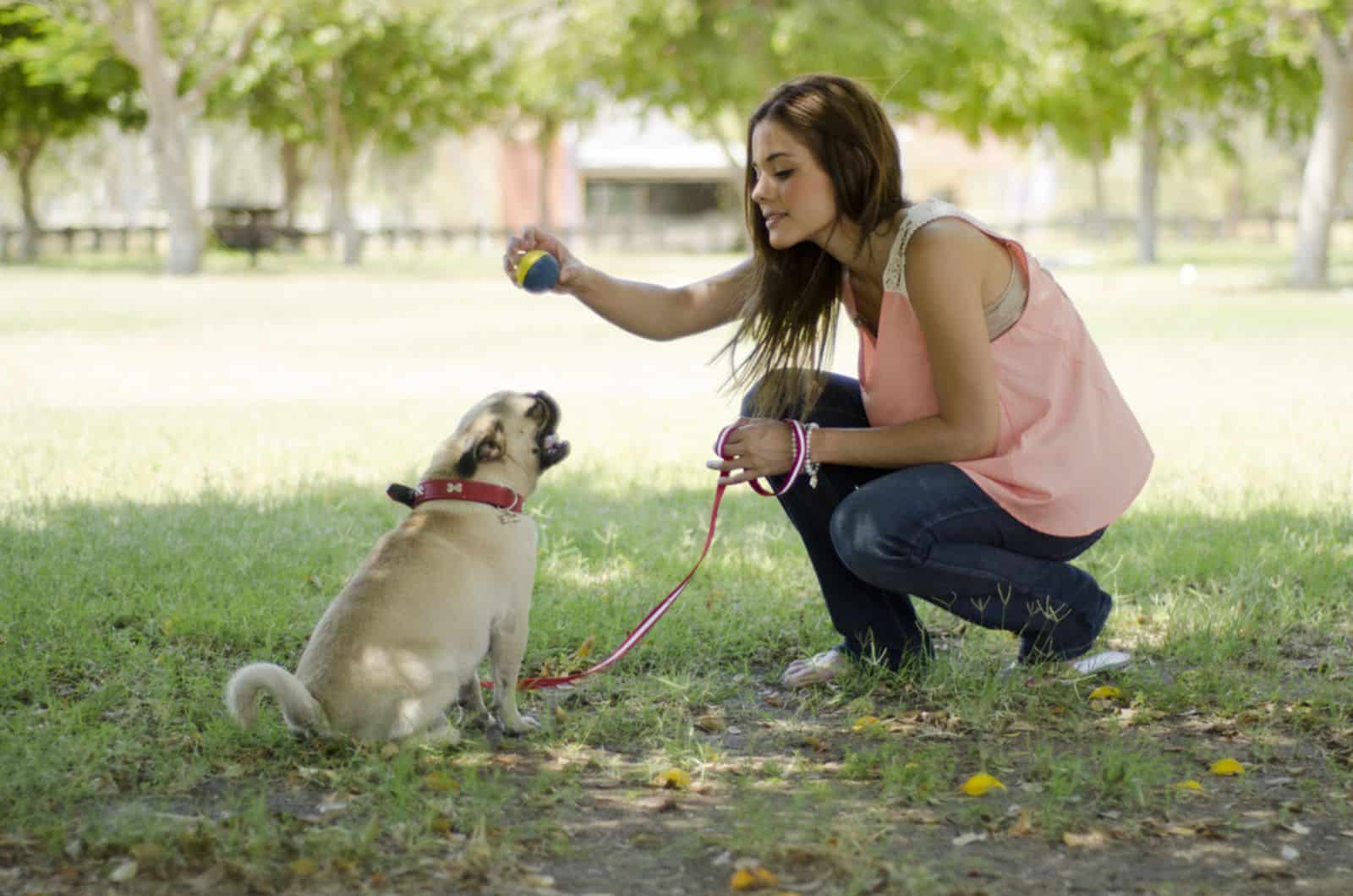 woman playing ball with her pug on a leash