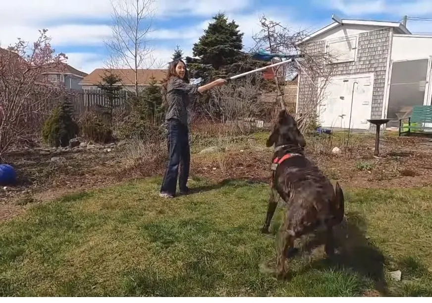 woman trains a puppy to function without a leash