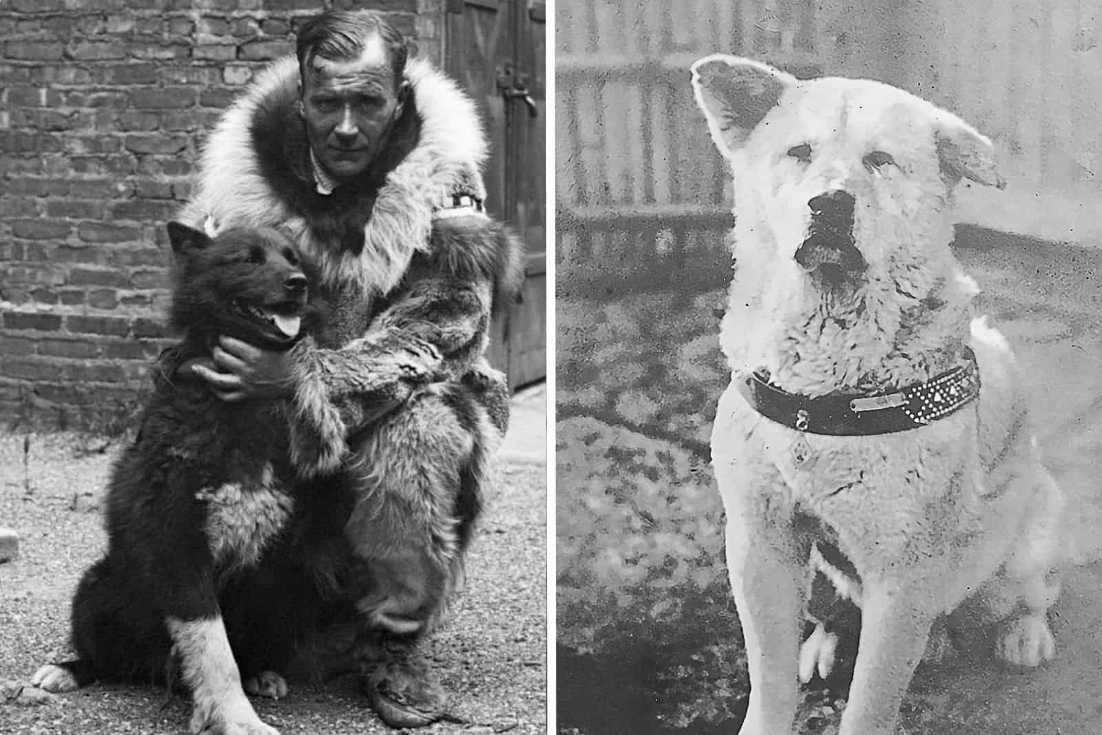 13 Most Famous Dogs In History, Throwback To Canine Legends