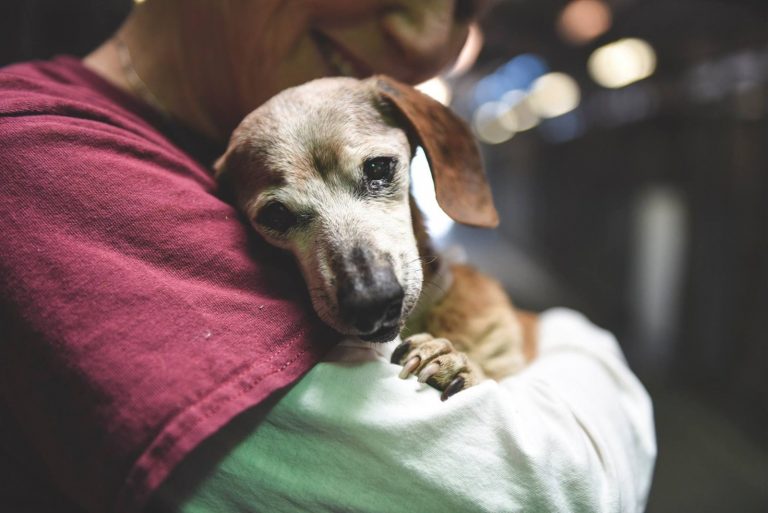 woman holding sad dog