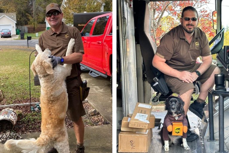 dogs saying hello to ups drivers