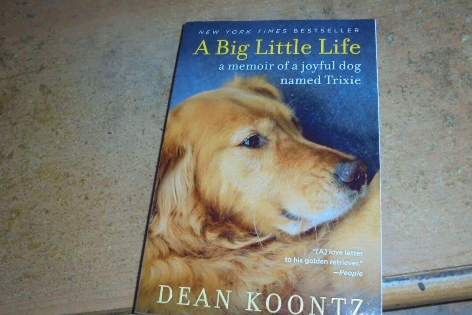 A Big Little Life book