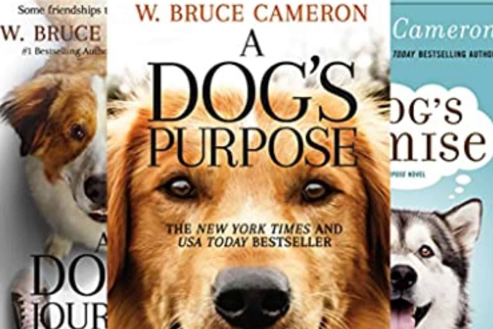 A Dog’s Purpose book