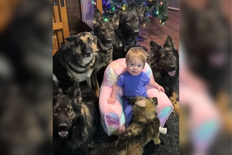 “This one is under our protection”