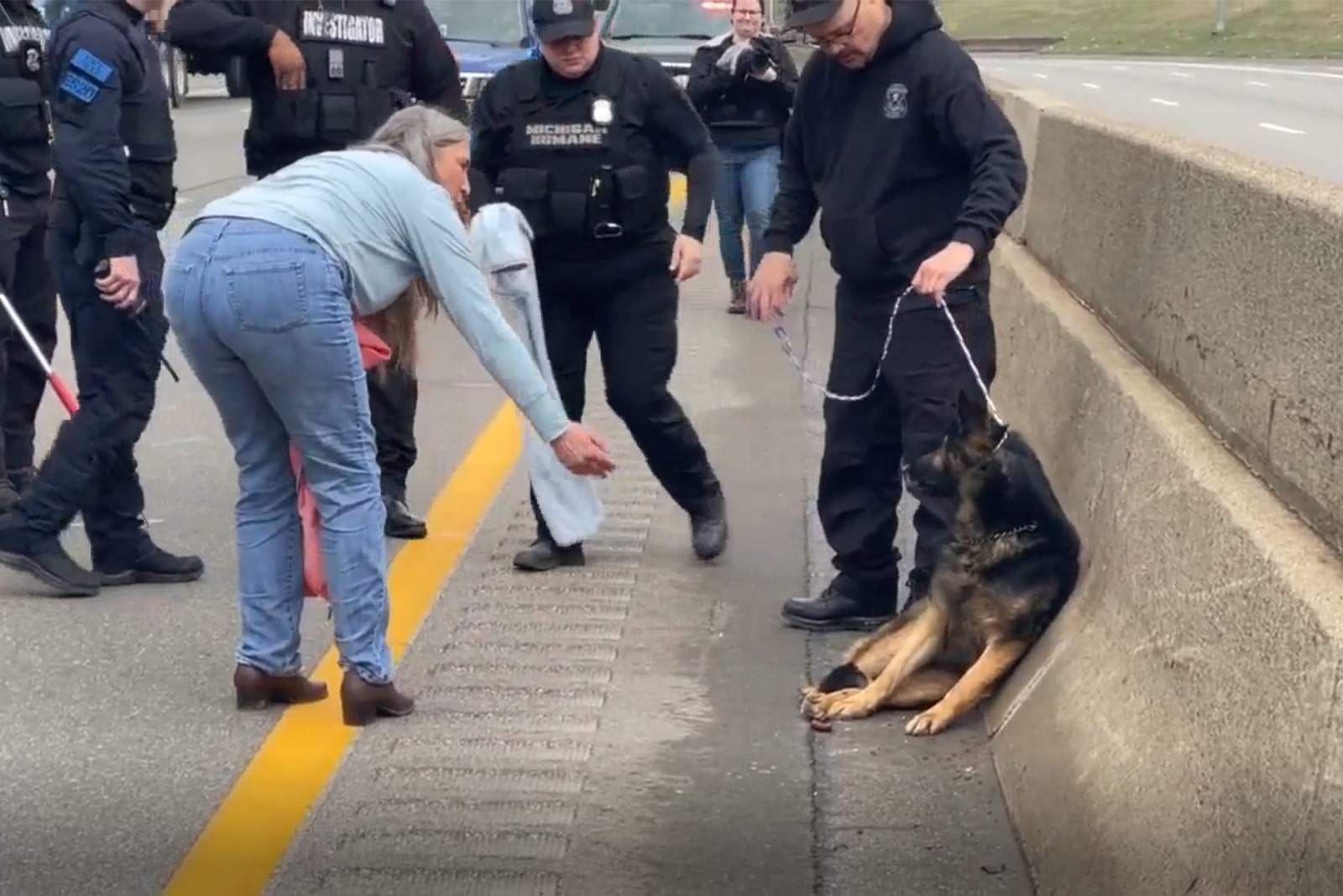 woman saving a dog