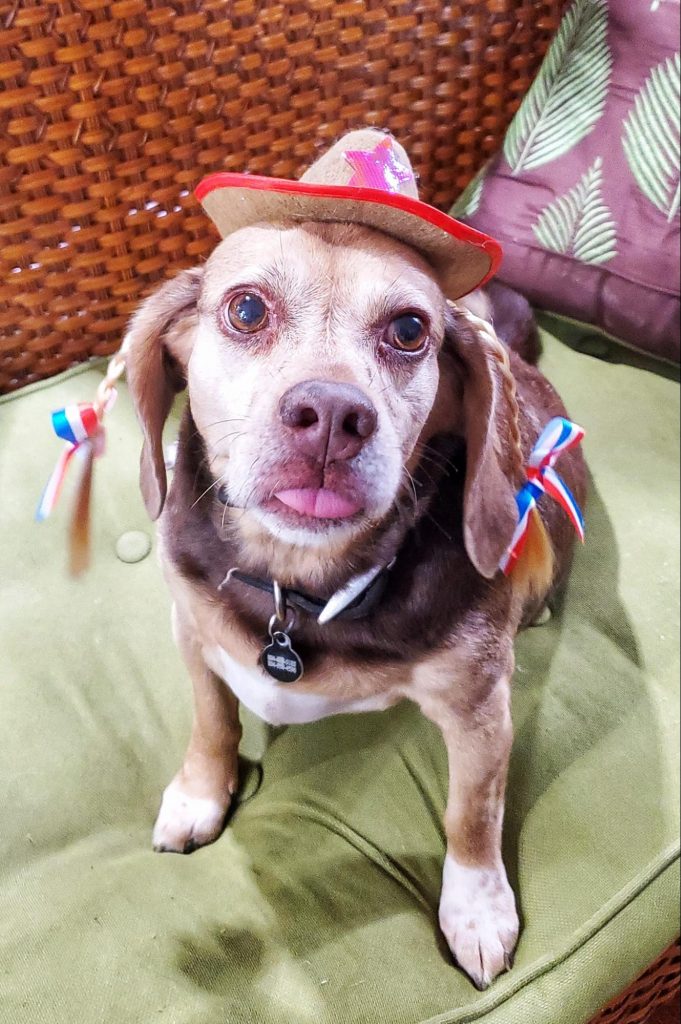 Abby wearing bow ties