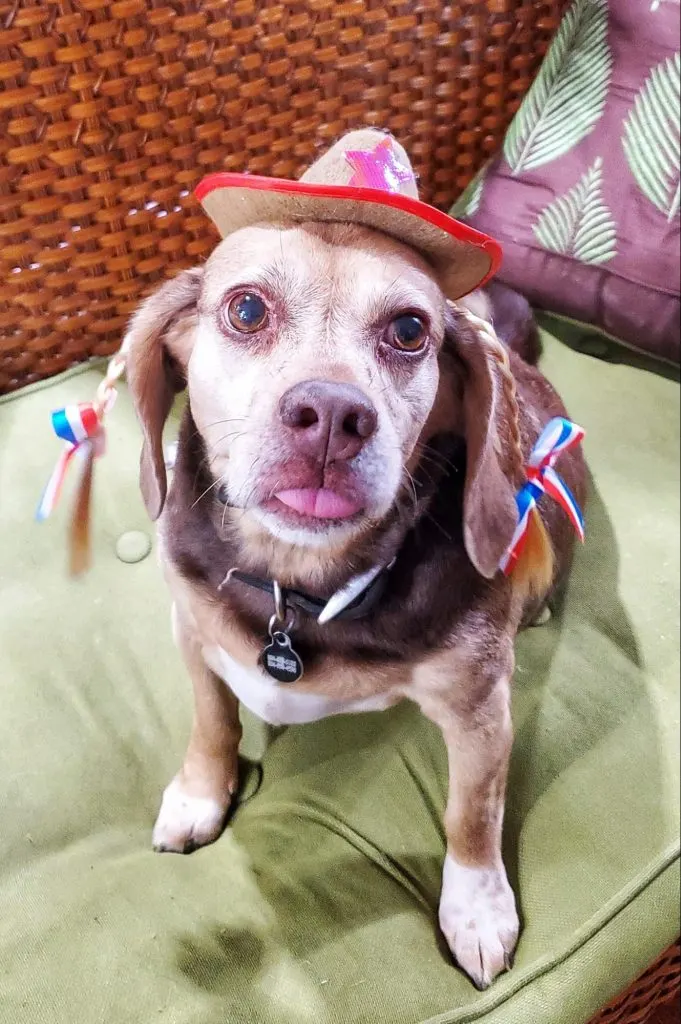 Abby wearing bow ties
