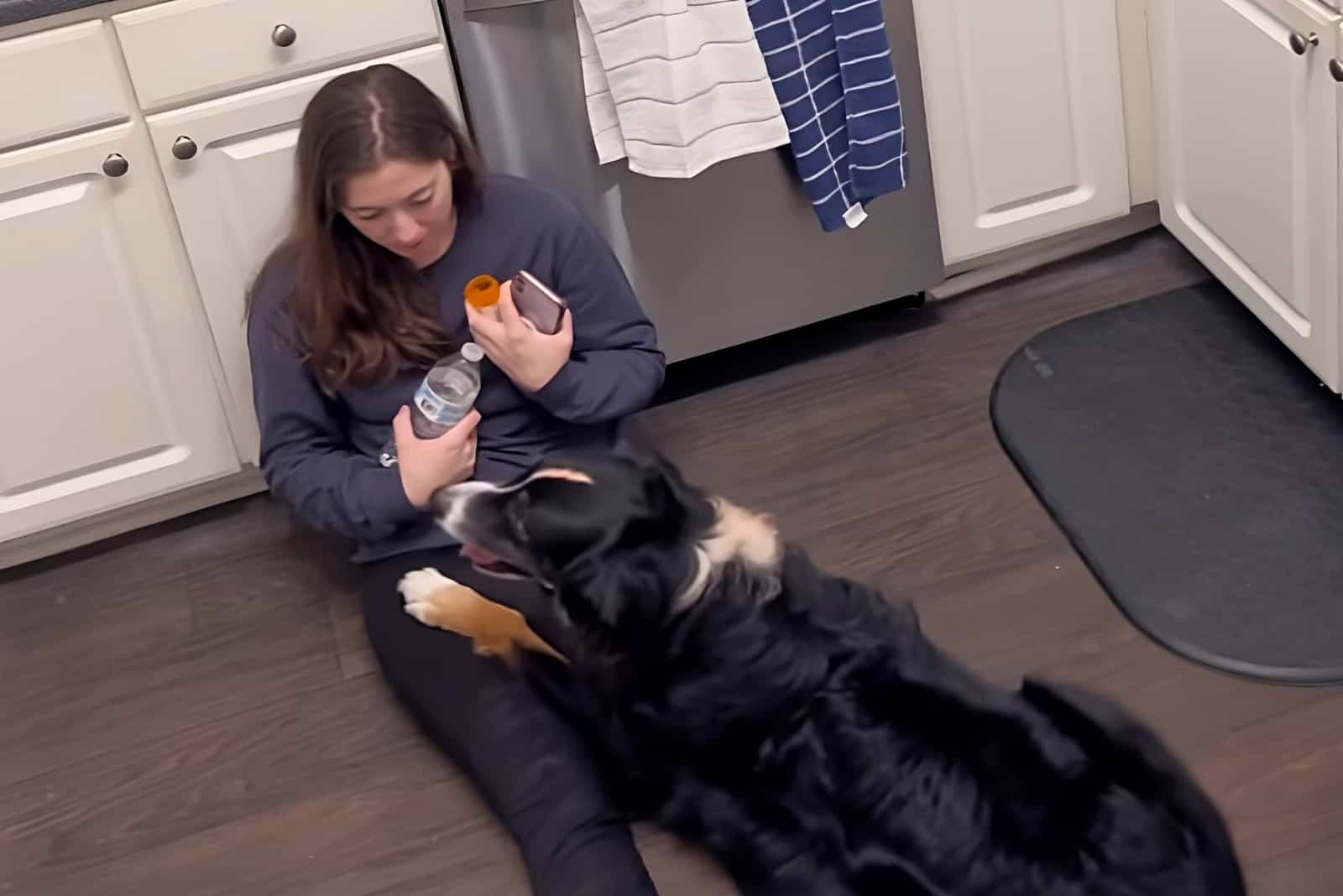 bailey the service dog helps her owner