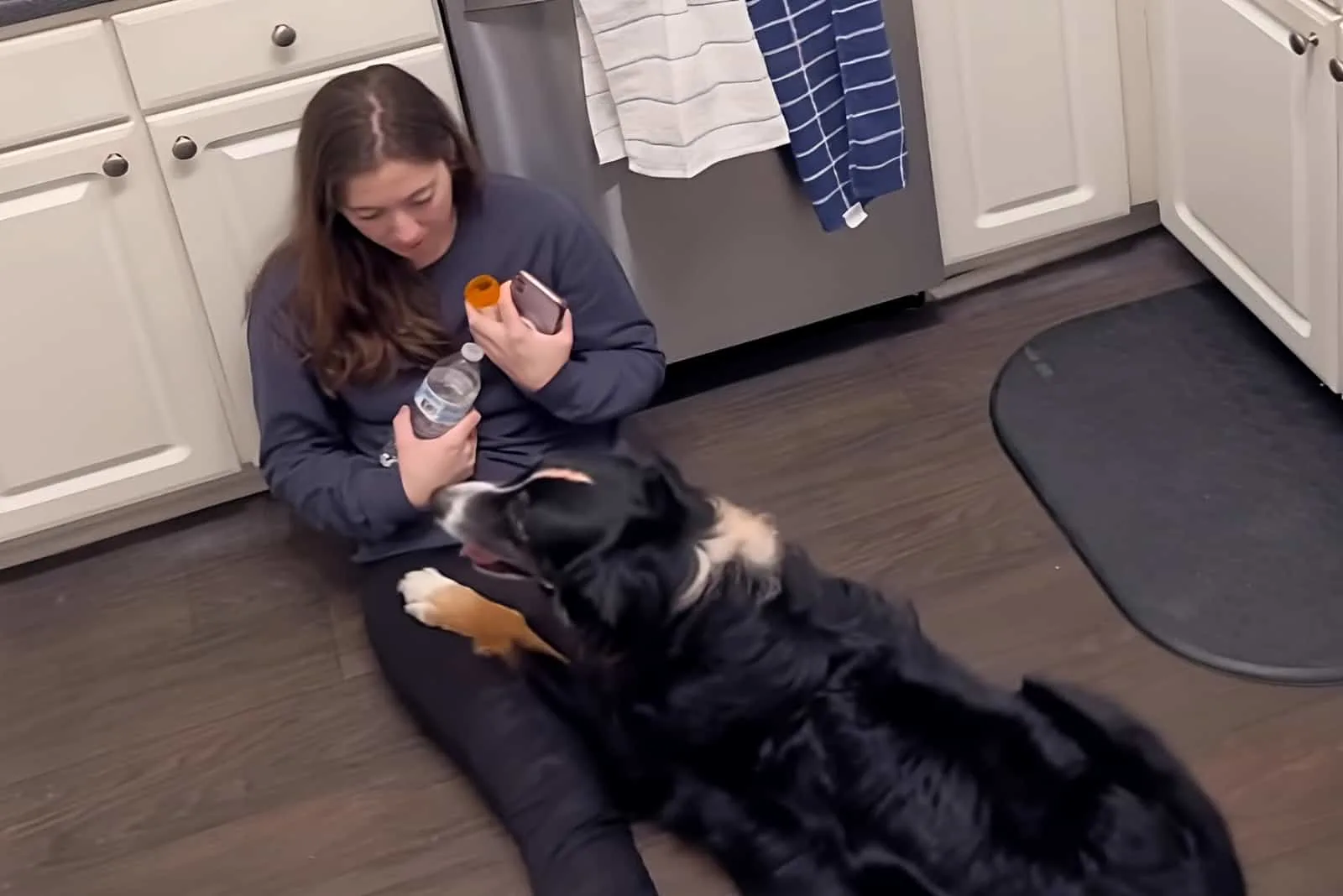 bailey the service dog helps her owner