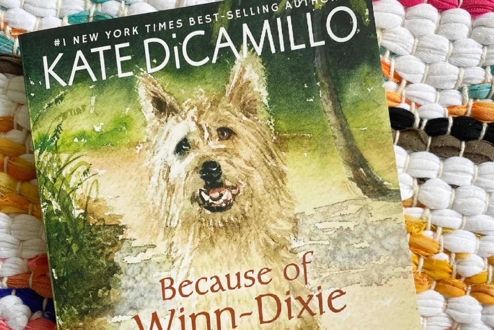 Because Of Winn-Dixie book