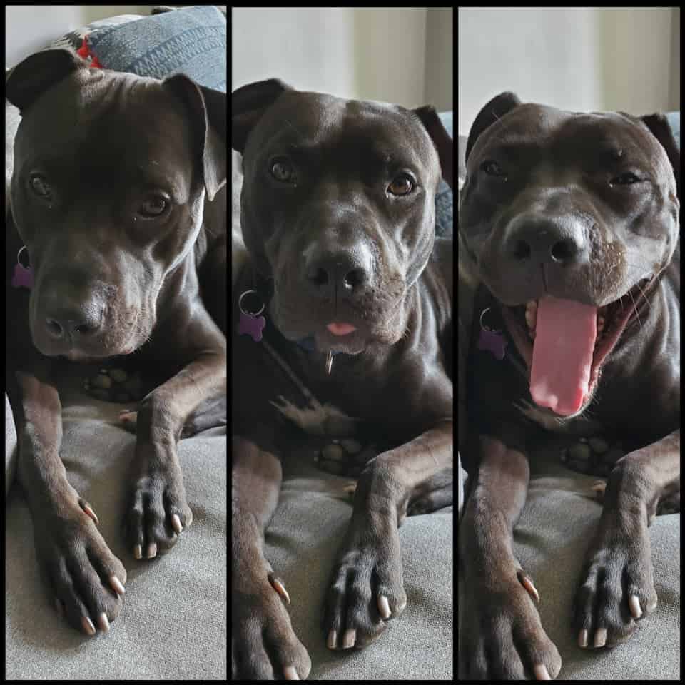Being Called A Good Boy — 3 Part Series