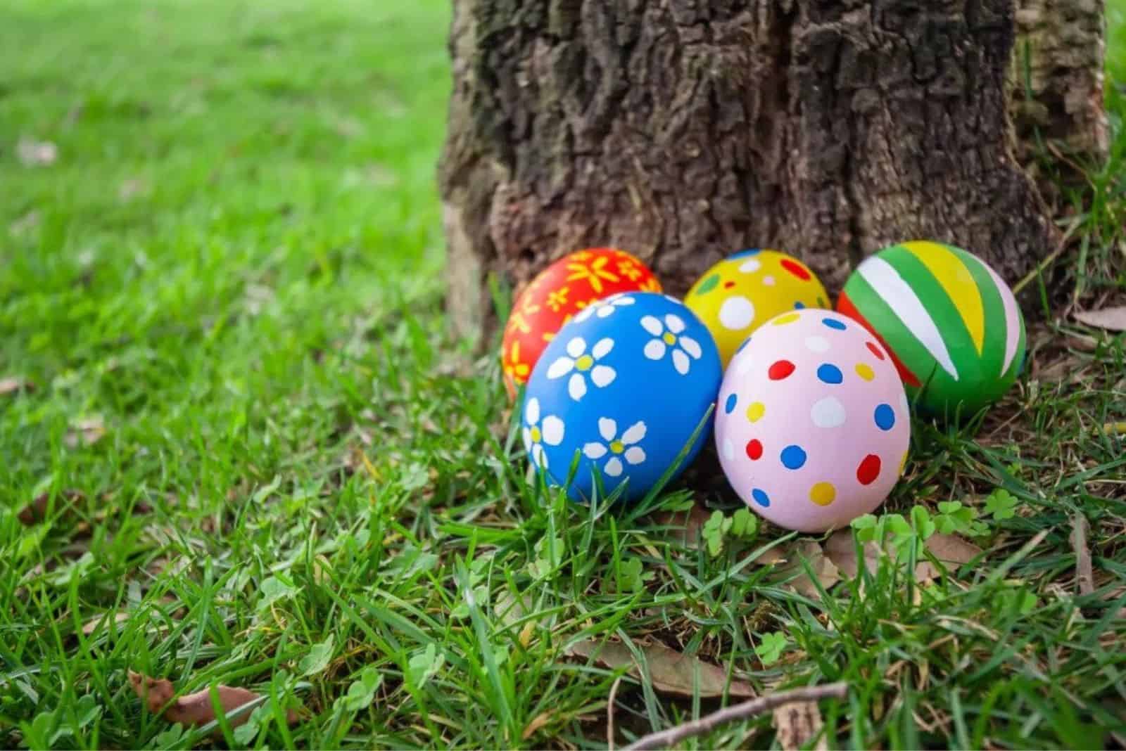 Easter eggs by the tree