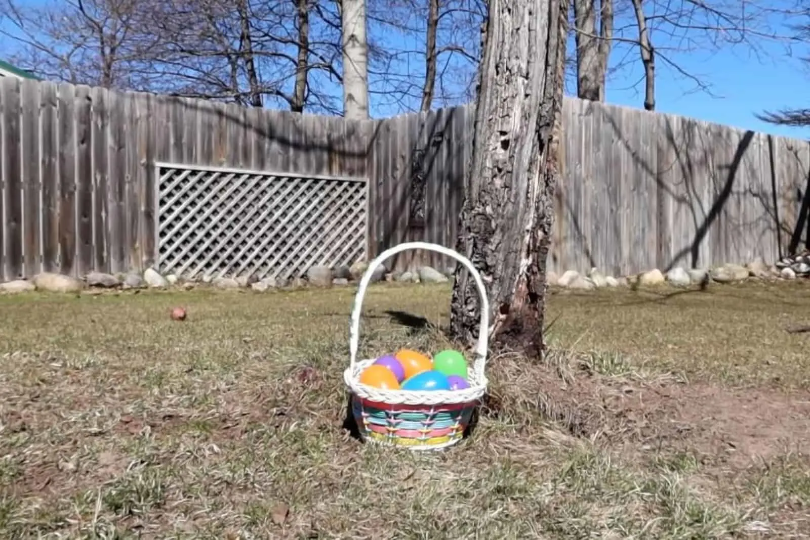 Easter eggs in a basket in the garden