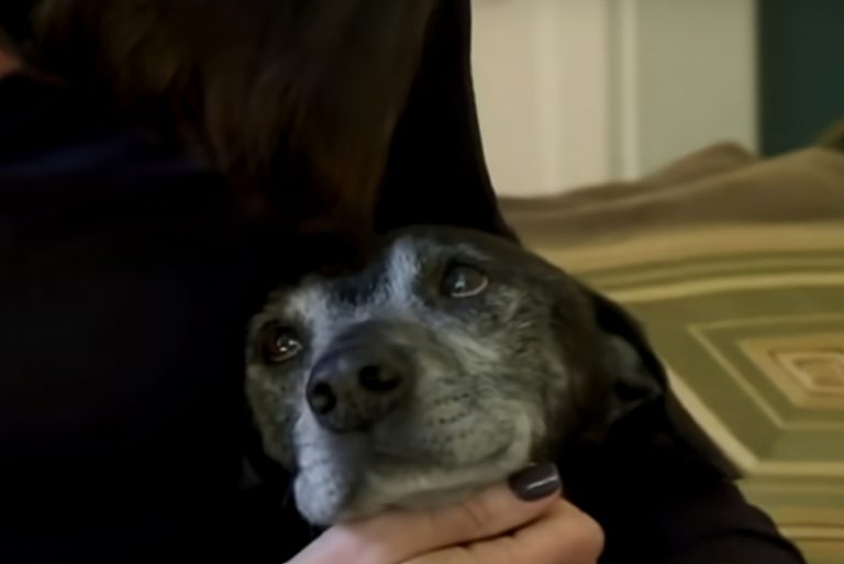 photo of holden and his owner