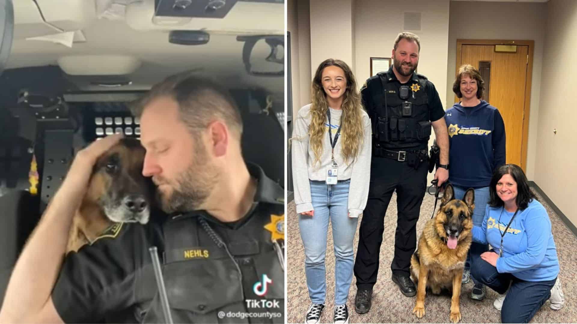 retirement dog