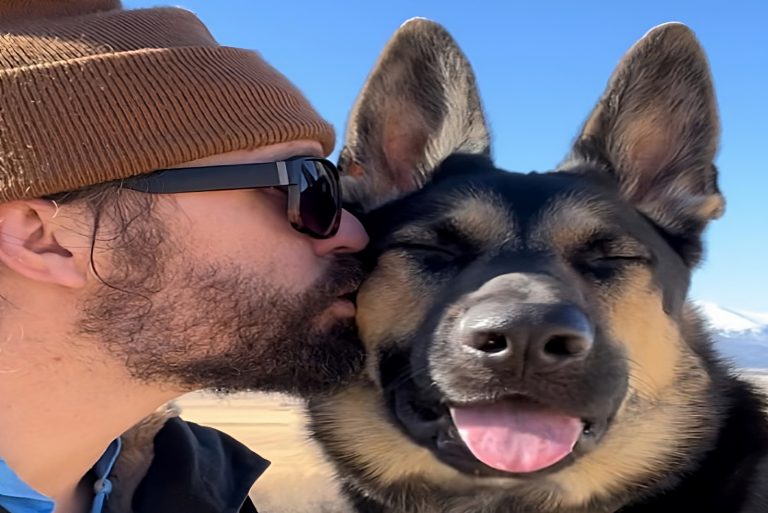 man kissing dog