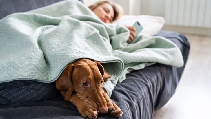 How Dogs Are Affected By Their Owners’ Moods And What That Implies