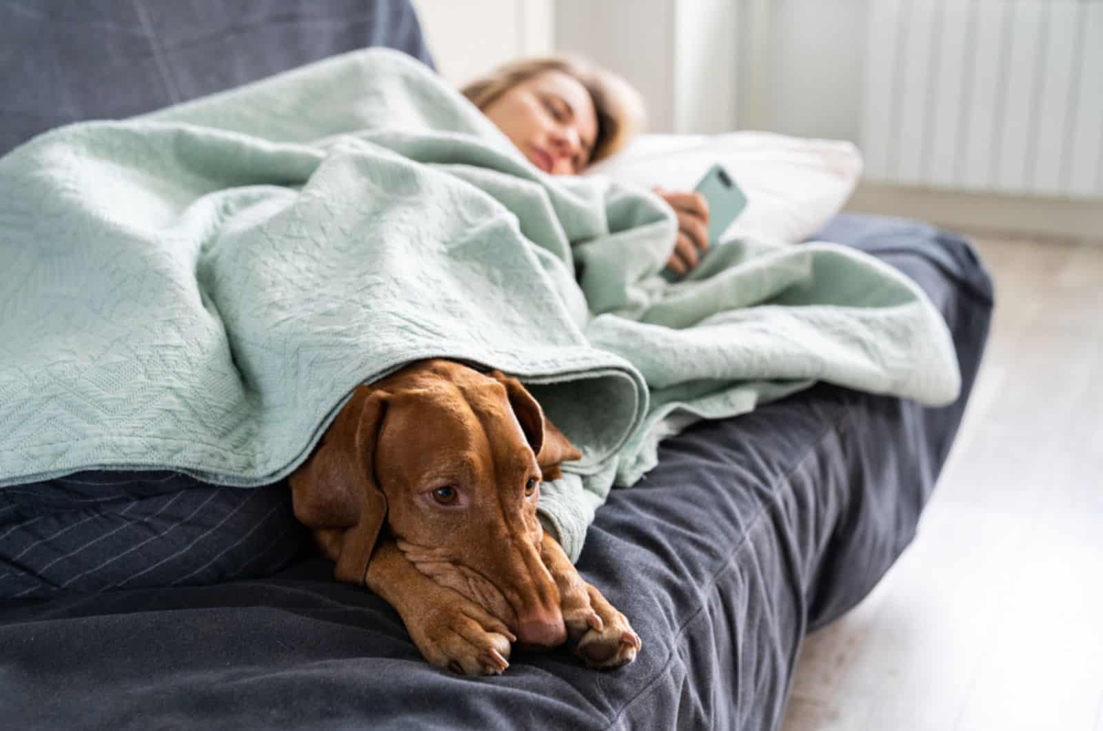 sad dog lying beside his owner lying on the sofa