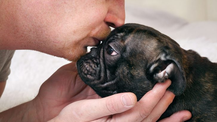 This Is How Your Dog Really Feels About Your Many Kisses