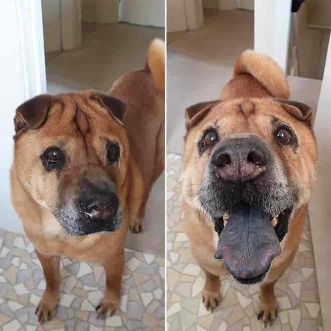 I Am Come Here… I Lick You