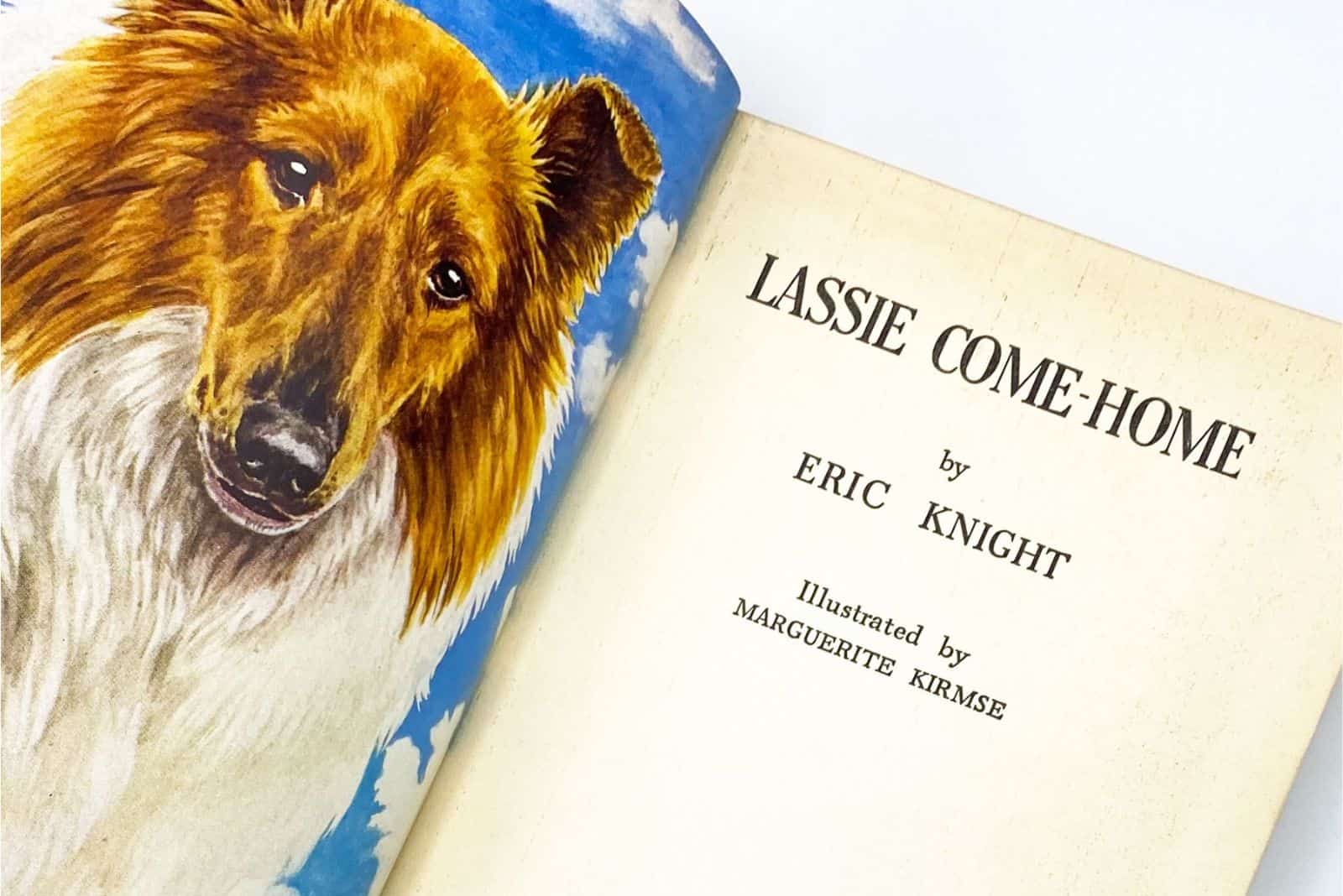 Lassie Come Home book
