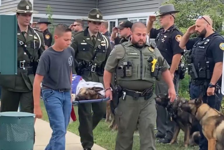 funeral of dog