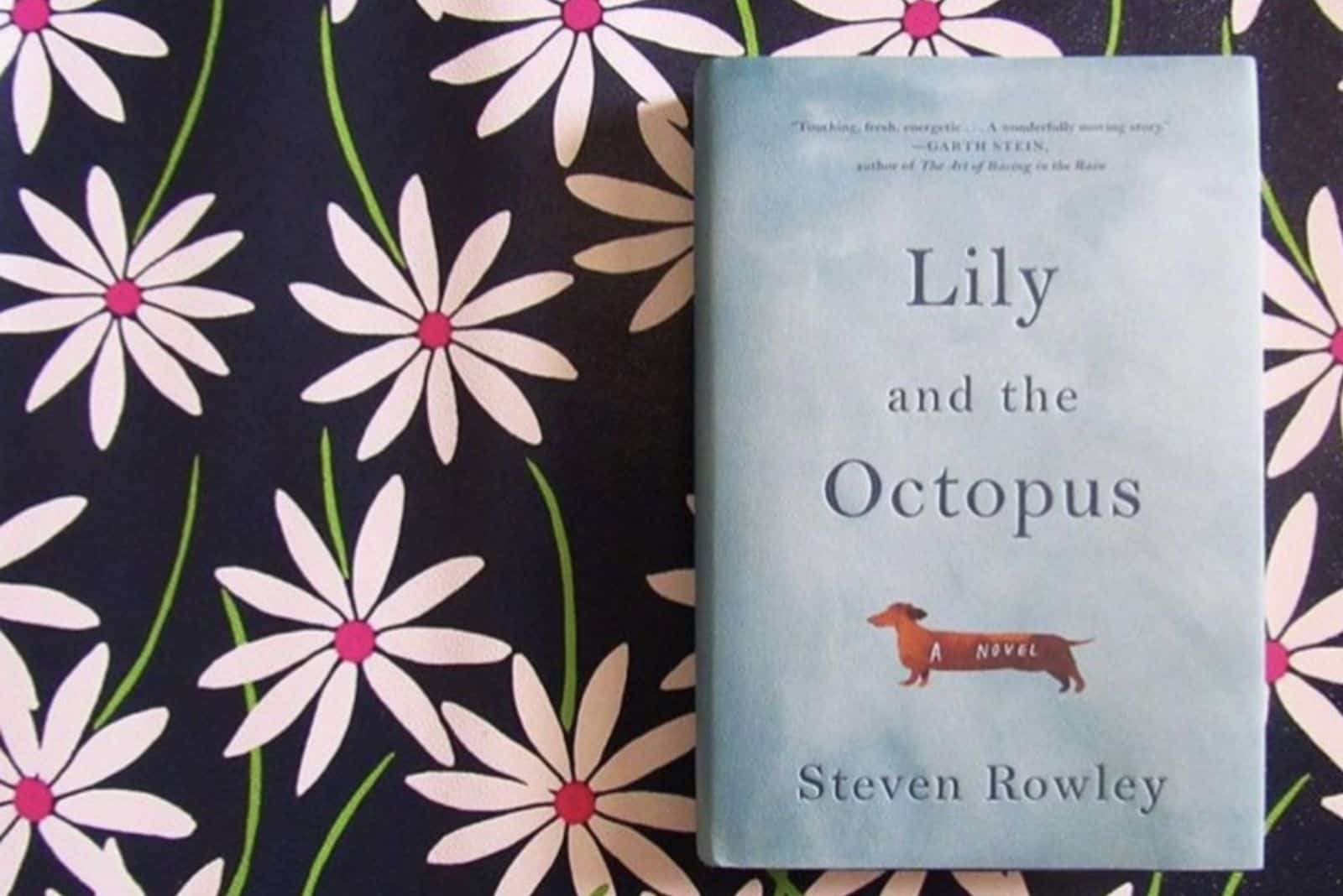 Lily And The Octopus book