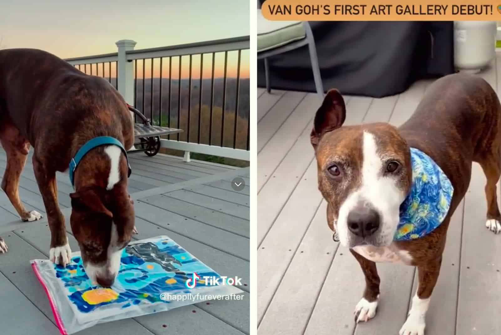 Former Ring Fighter Pitbull Mix Sells His First Painting Masterpiece