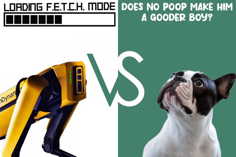 Robot Dog VS Real Dog